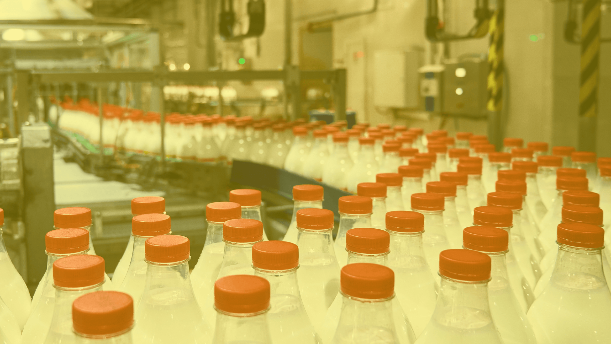 Túnel Pasteurizador (Botellas)